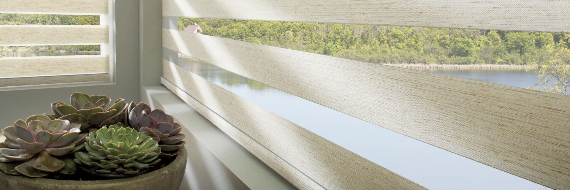 A person is looking out of the window at trees.